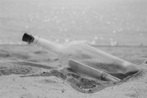 shutterstock_449459719 (2)